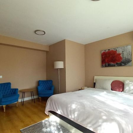 4 Seasons Apartments Bistrita  Bagian luar foto